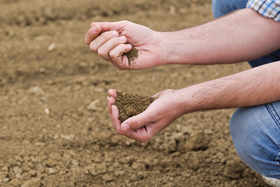 Soil Assessments